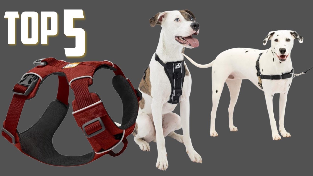 ✅Best No-Pull Dog Harnesses in 2025 [ Top 5 Best No-Pull Dog Harnesses]