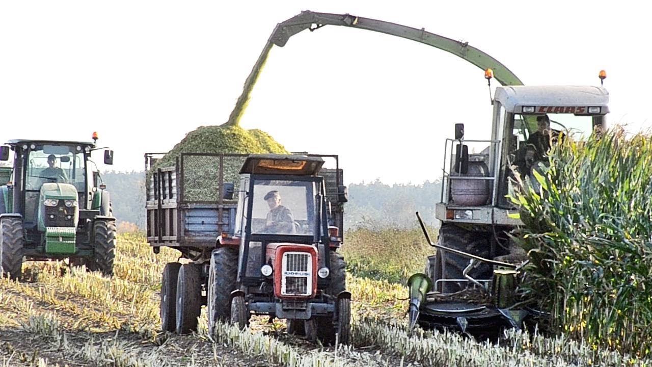 ~~Koszenie kukurydzy 2017 !~~ -HIT- !! - John Deere Team :D