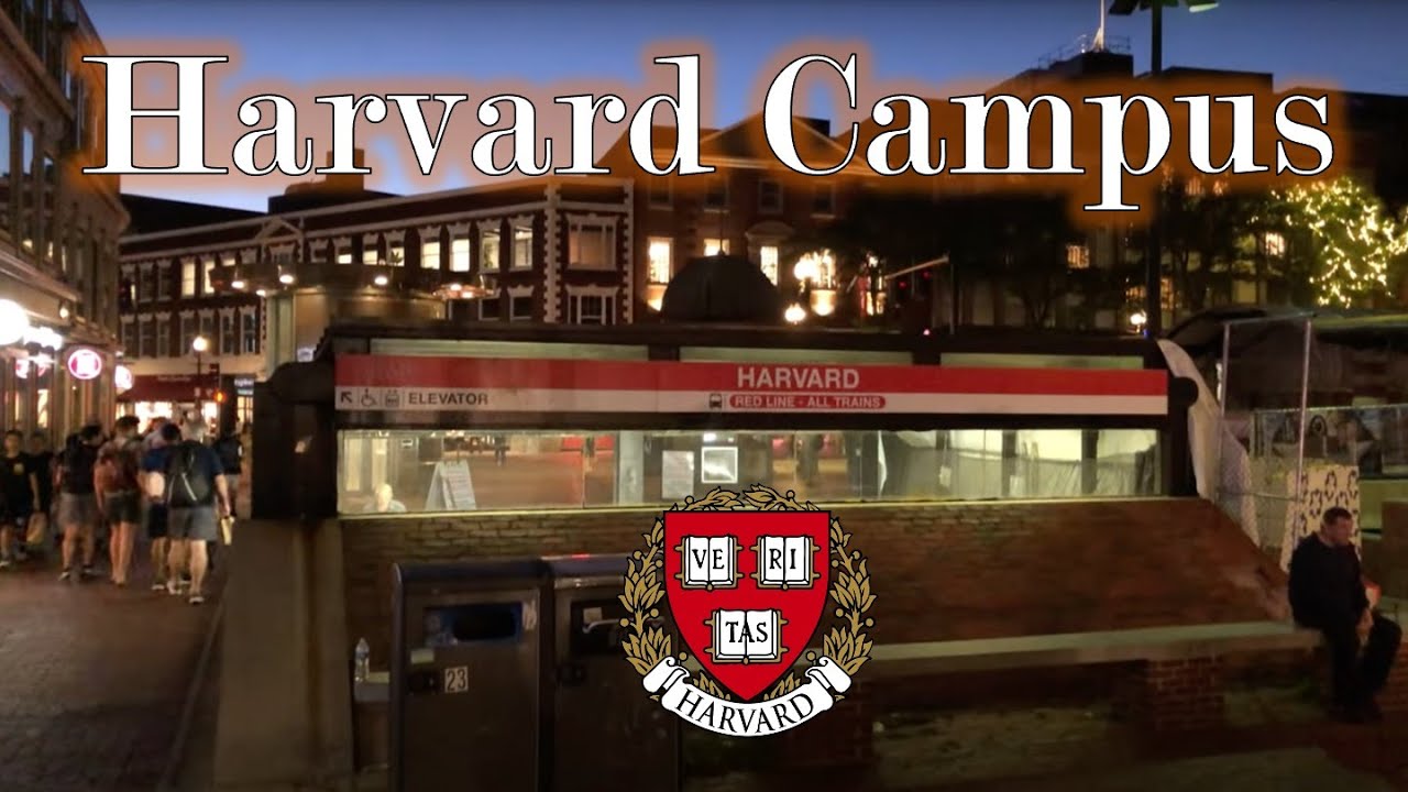 Harvard Square Evening Walk · 4K