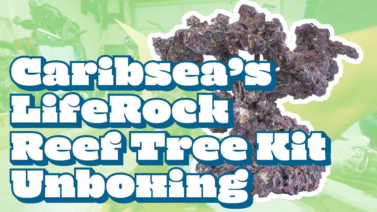 Unboxing CaribSea&rsquo;s LifeRock Reef Tree Kit
