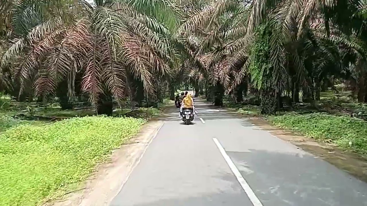 RUTE MENUJU OBJEK WISATA TANGKAHAN KABUPATEN LANGKAT #tangkahan