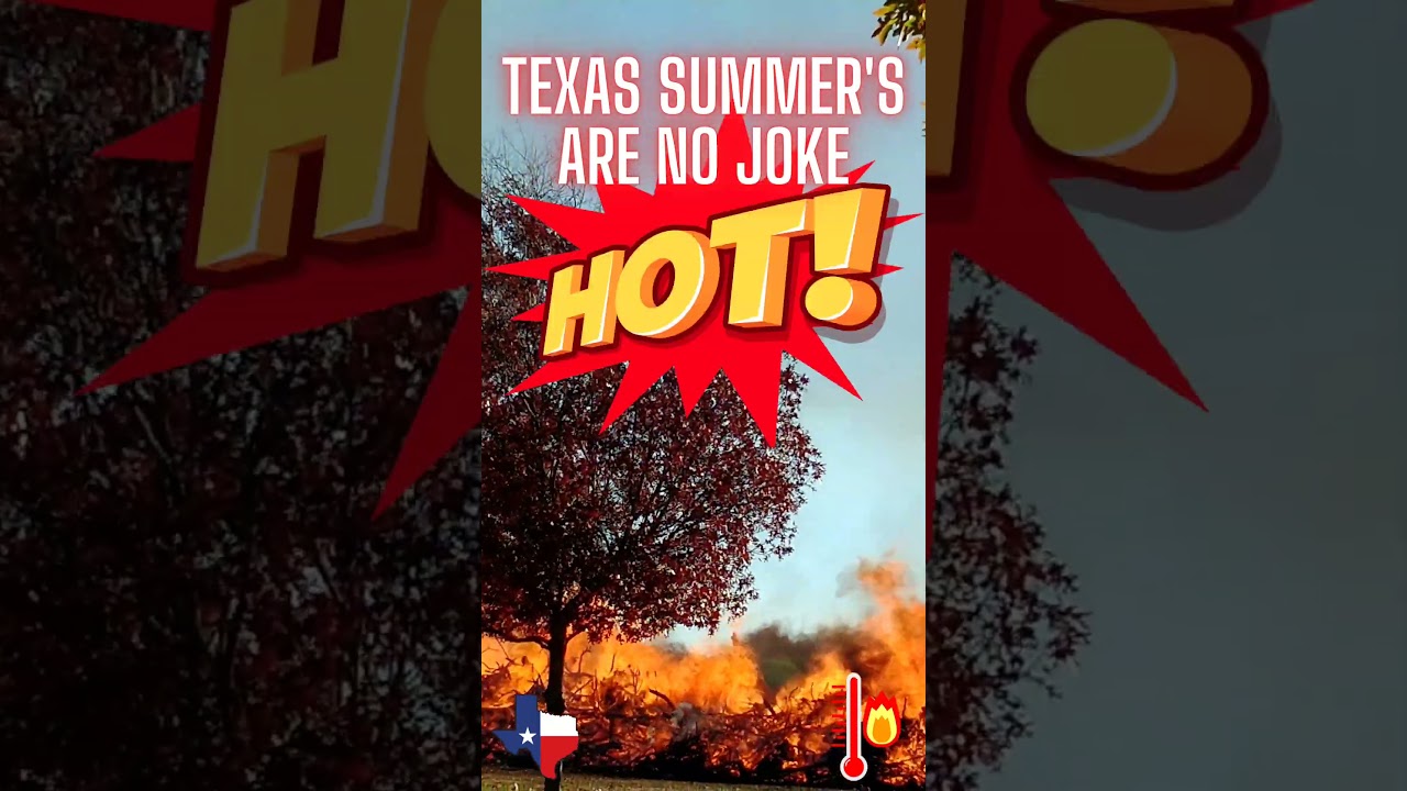 Unbearable Texas Summer #texas #shorts #summer #heat #hot