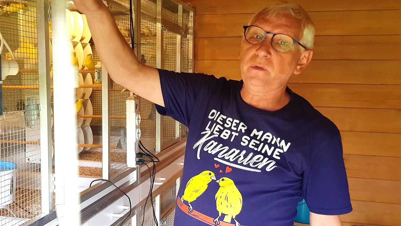 2024 12 Kanarienzucht Pflege der Harzer Roller 🐤 Vögel im Juli August