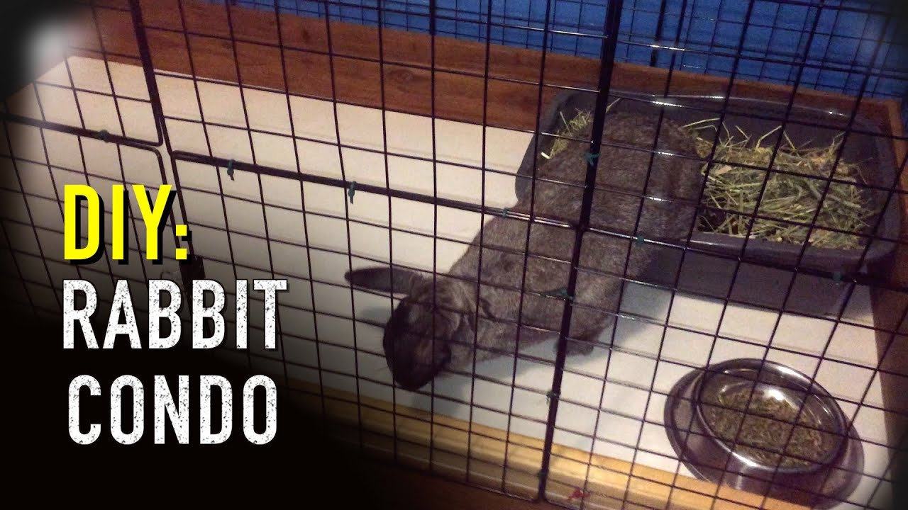 How to build a Bunny Condo - Part 1