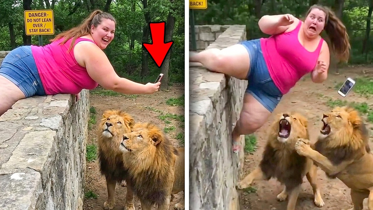 The WORST Zoo Deaths Ever Recorded&hellip;
