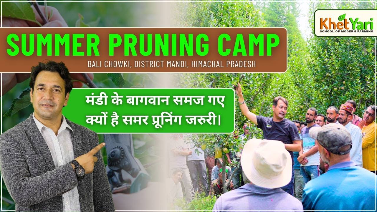 Mandi Summer Pruning Camp - Bagwano Ke Liye Practical Training