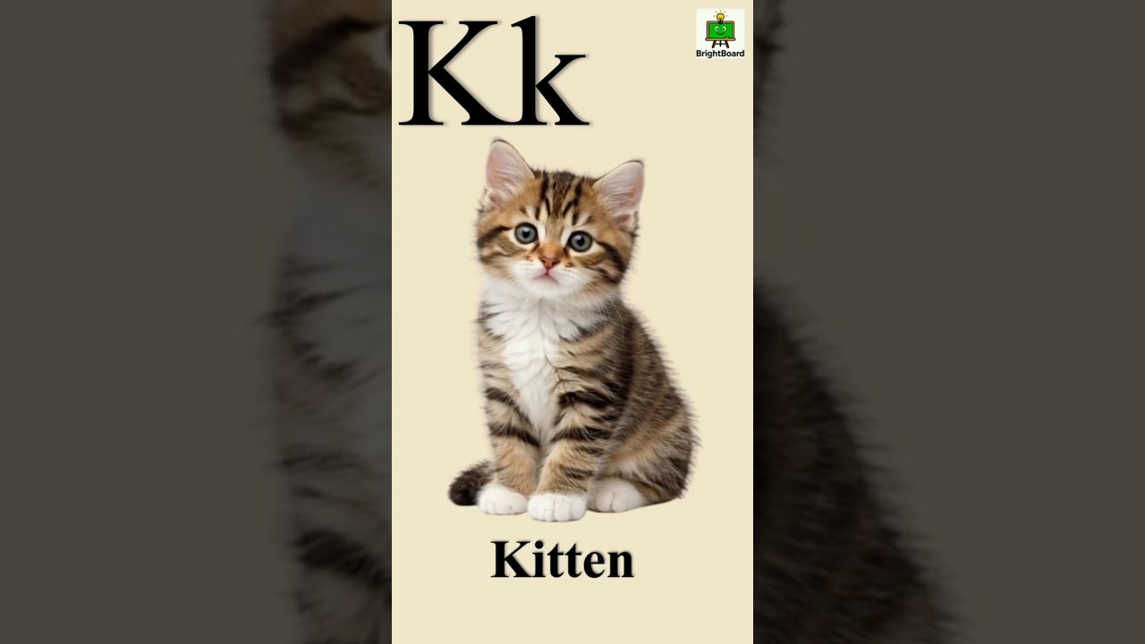 Things That Start With K | Letter K Words for Kids