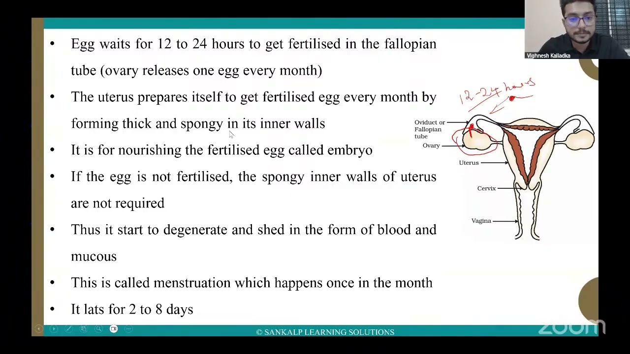Sankalp Classes - how do organisms reproduce - EM - Session 3