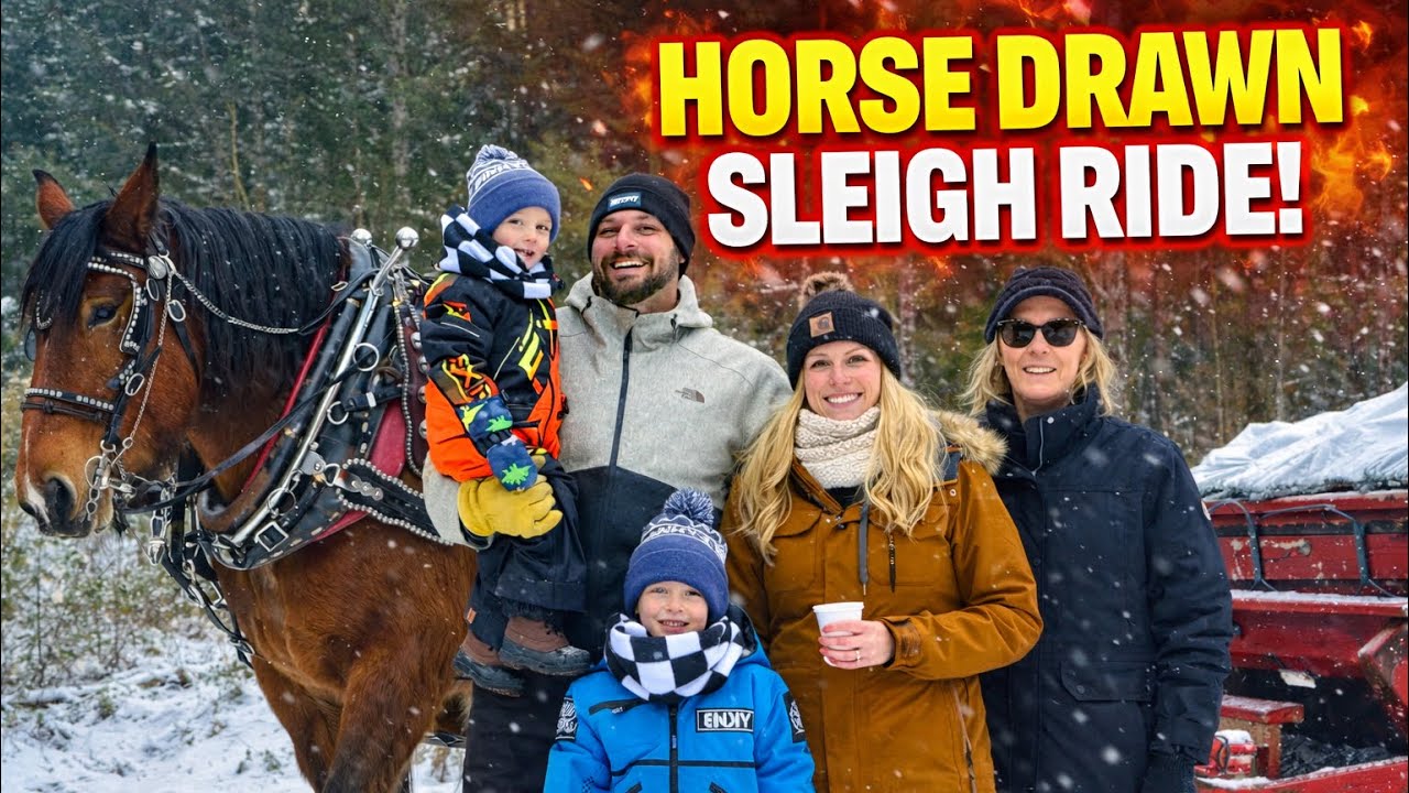 WE WENT ON A HORSE DRAWN SLEIGH RIDE!