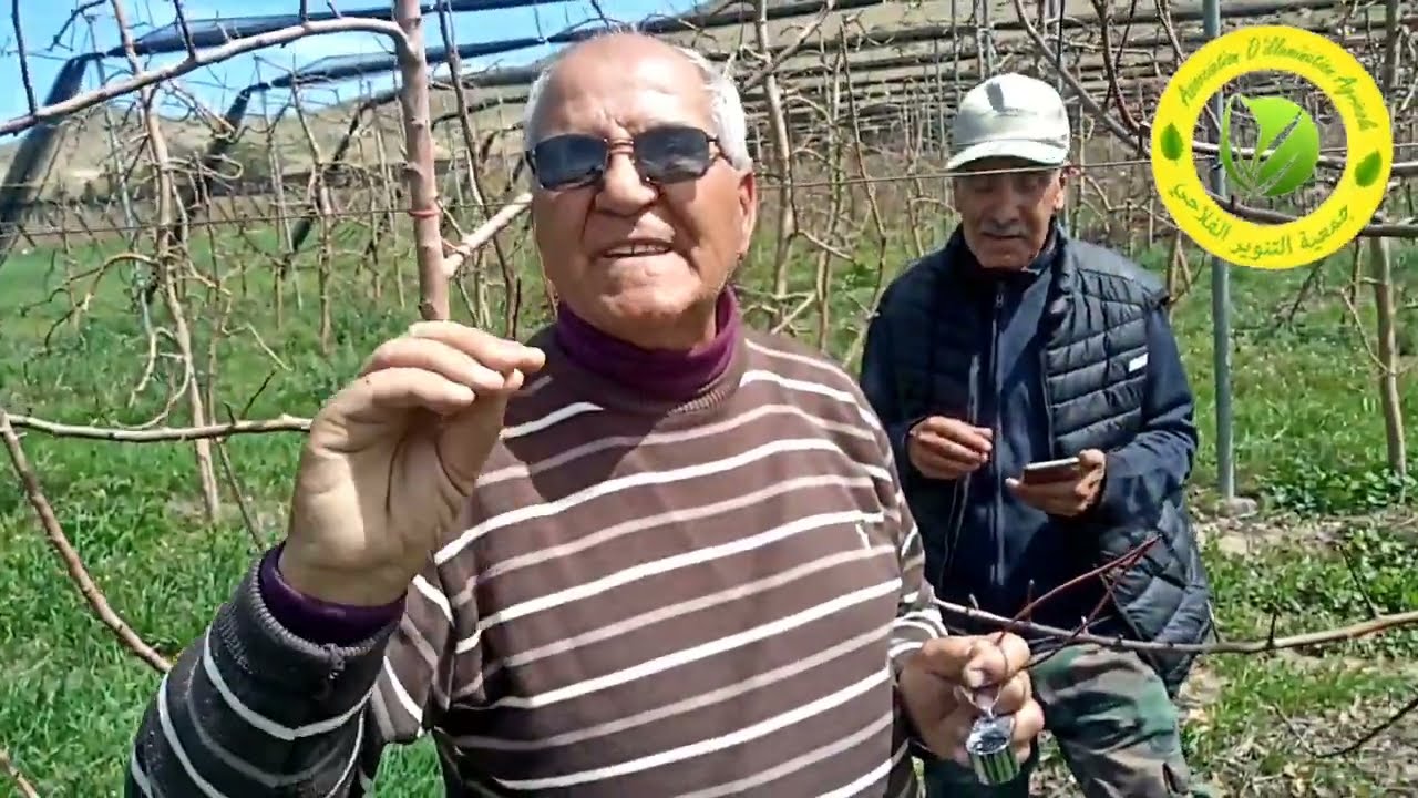 تشخيص أمراض أشجار التفاح وطرق الوقاية والعلاج