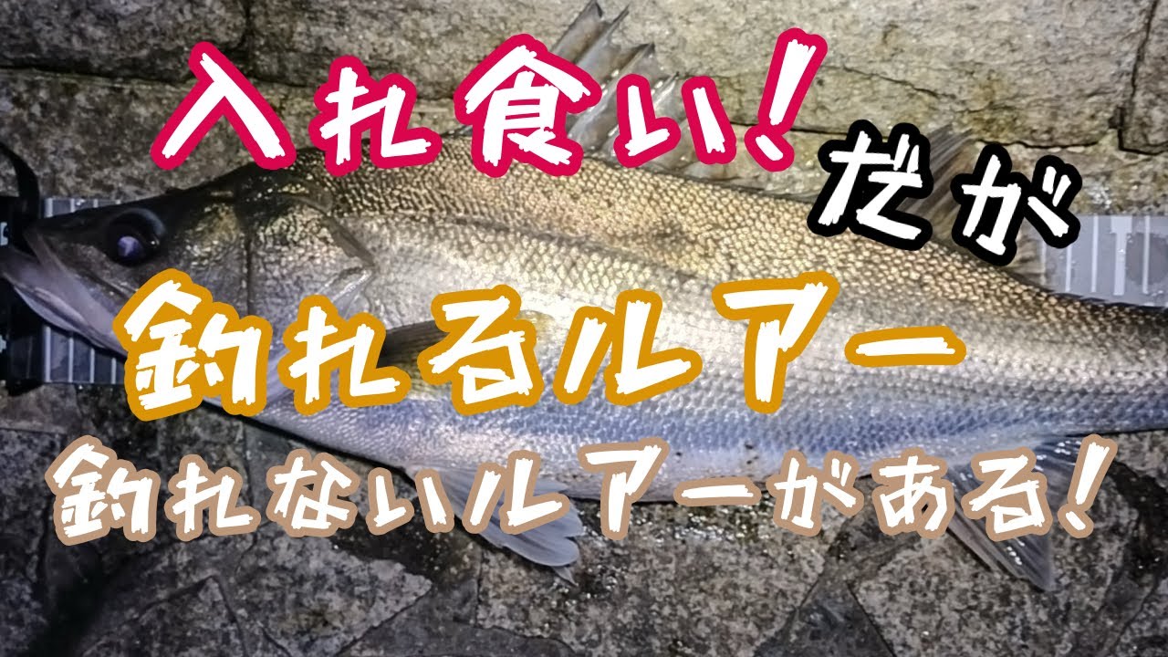 【爆秋シーバス後編】ワールドシャウラリミテッド2832で釣りまくる。