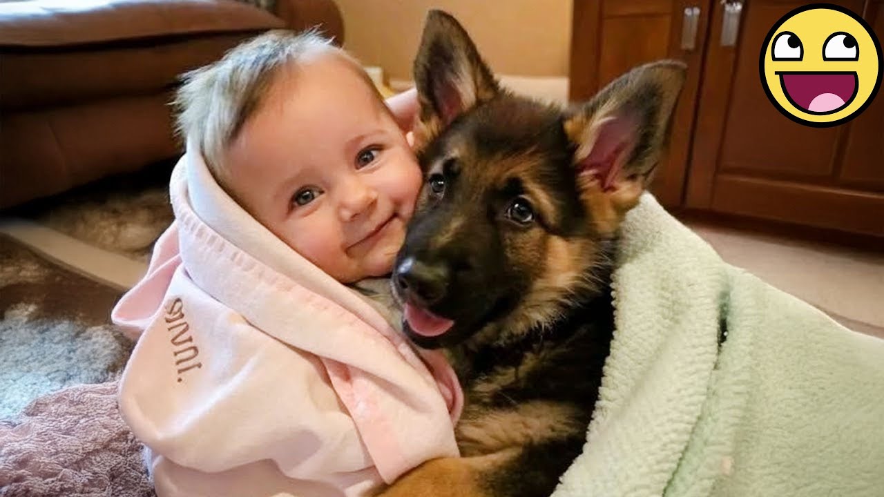Когда ваша собака становится лучшим другом вашего ребенка на всю жизнь 🐾👶❤️