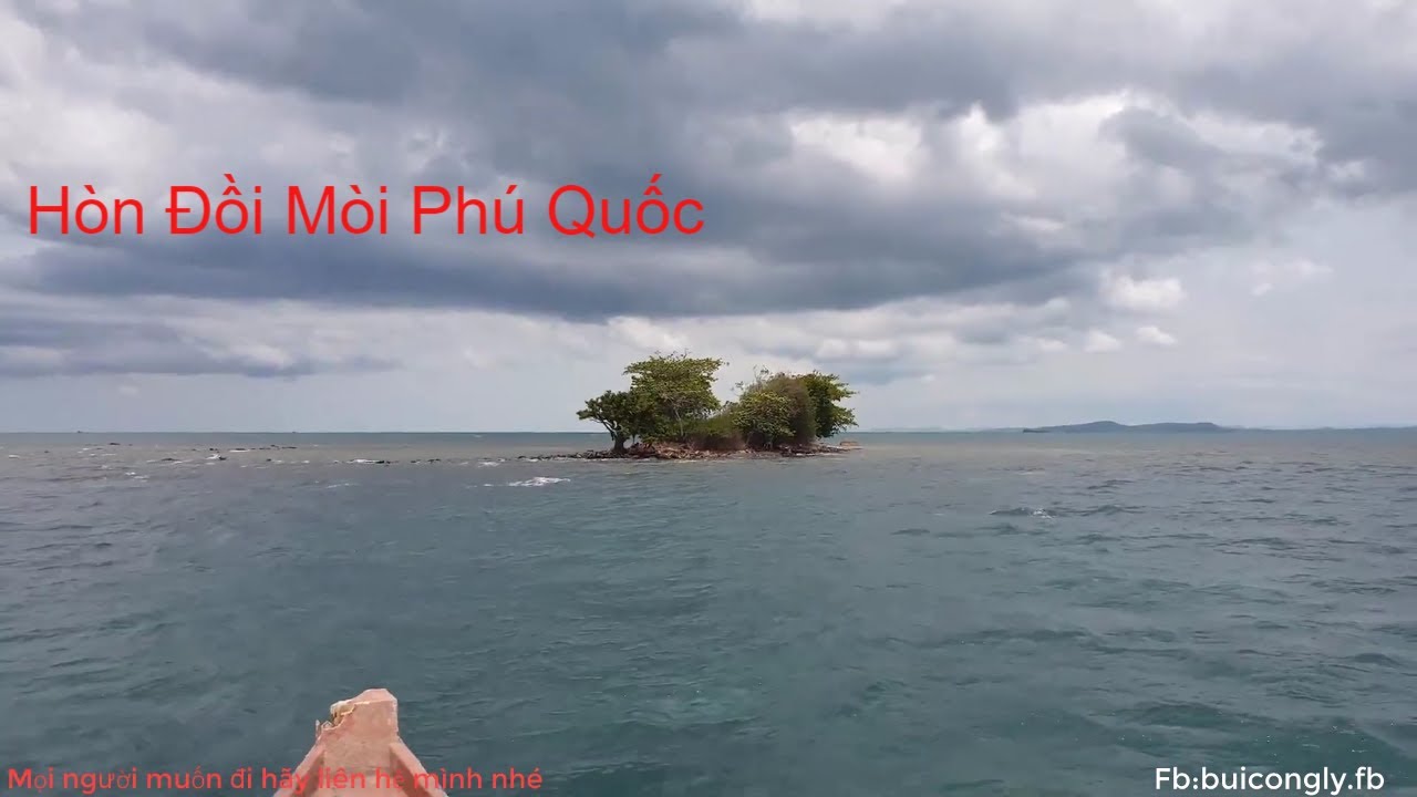 Bắt Cá - Bắt Ốc Trên Hòn Đồi Mồi  Phú Quốc