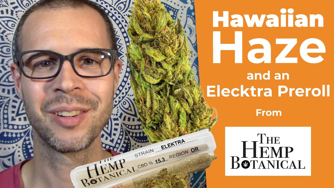 HAWAIIAN HAZE & an ELECTRA preroll CBD Hemp flower Review | The Hemp Botanical | Conscious Clouds 36