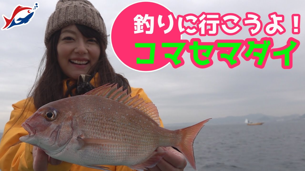 コマセマダイ入門！【つりにいこうよ。】真鯛釣りの仕掛け、釣り方を初心者にもわかりやすくご紹介！