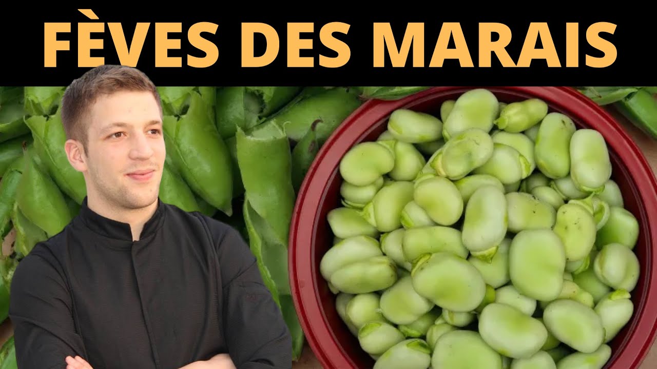 Comment nettoyer et cuire des f&egrave;ves des marais