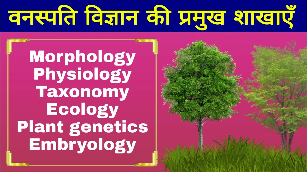 वनस्पति विज्ञान और उसकी शाखाएँ | Botany and its Branches | Biology in hindi | Biology science sk