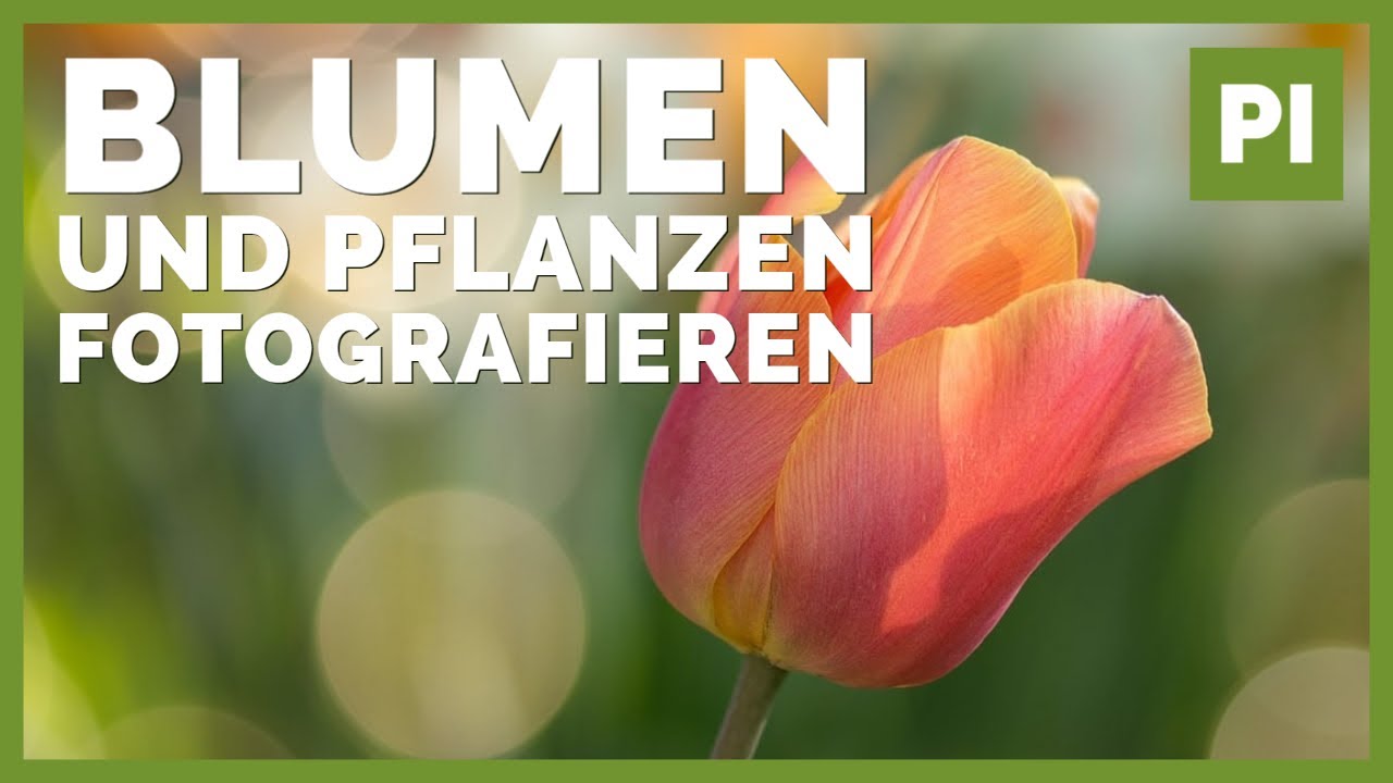 Blumen & Pflanzen fotografieren ➡️ Tipps und Kameraeinstellungen!