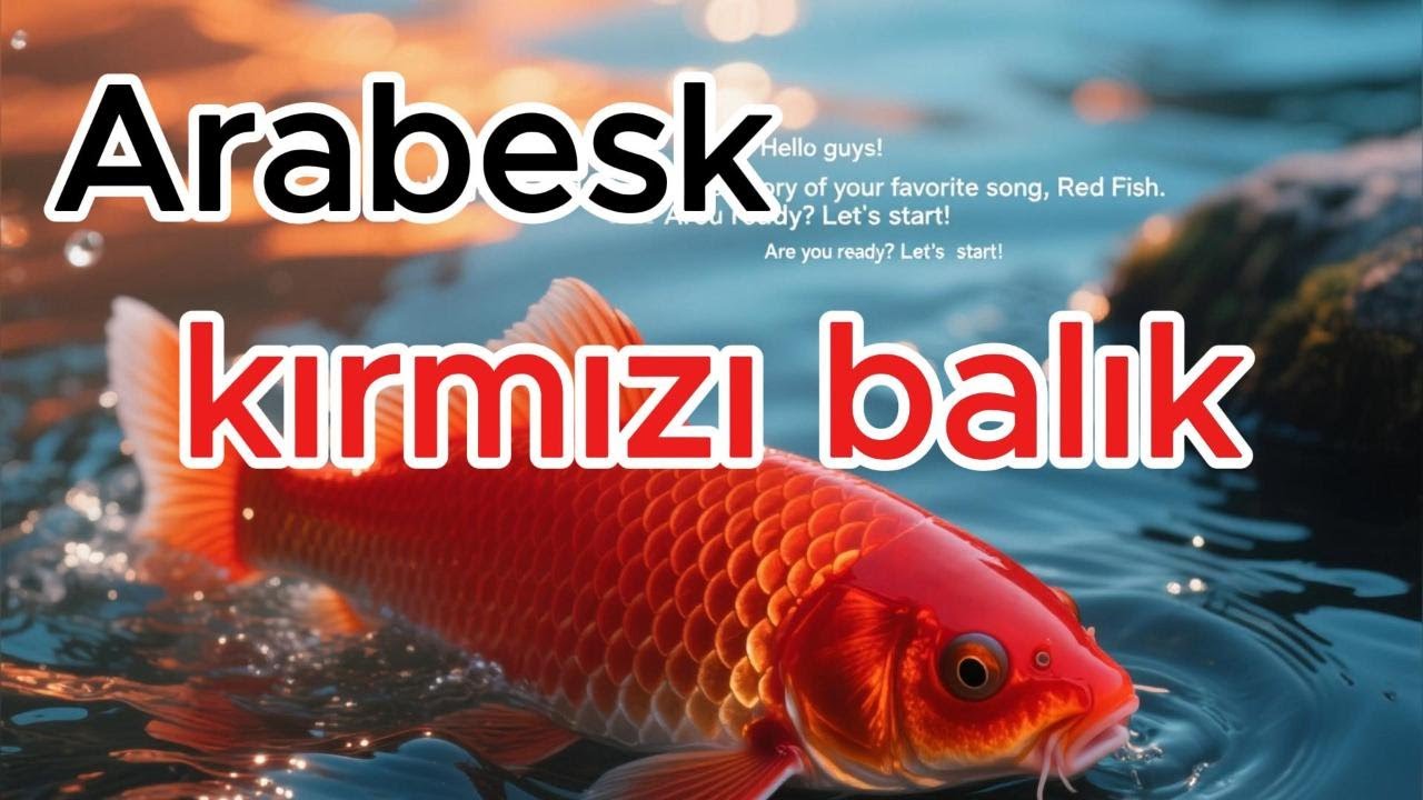 kırmızı balık | ARABESK | SEMPATİ MEDİA |