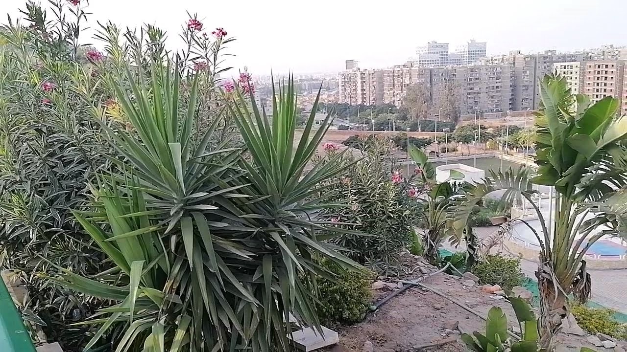 جوله ممتعه جداااا ودعوه  للنشاط والحيوية من داخل نادي المقاولون العرب