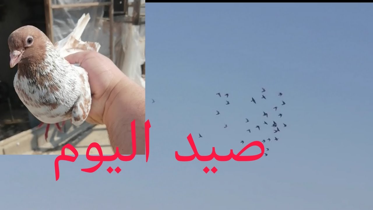 فصل المغرب ساعه 30./5