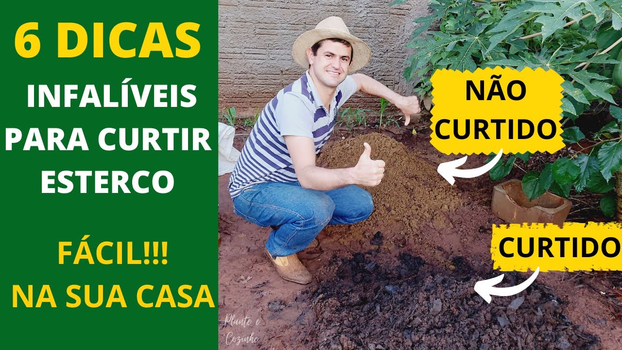 6 DICAS INFALÍVEIS PARA TER SUCESSO AO CURTIR ESTERCO EM CASA. PROCESSO COMPLETO: INÍCIO AO FIM Ep44