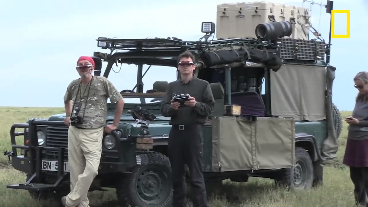 Photographing Lions With Technology
