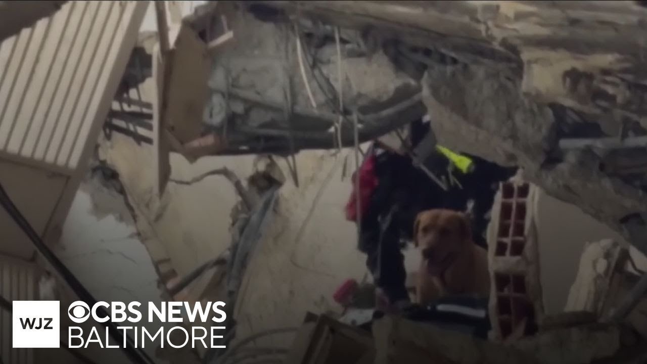 Venezuela earthquake death toll nears 2,000 with tens of thousands still missing