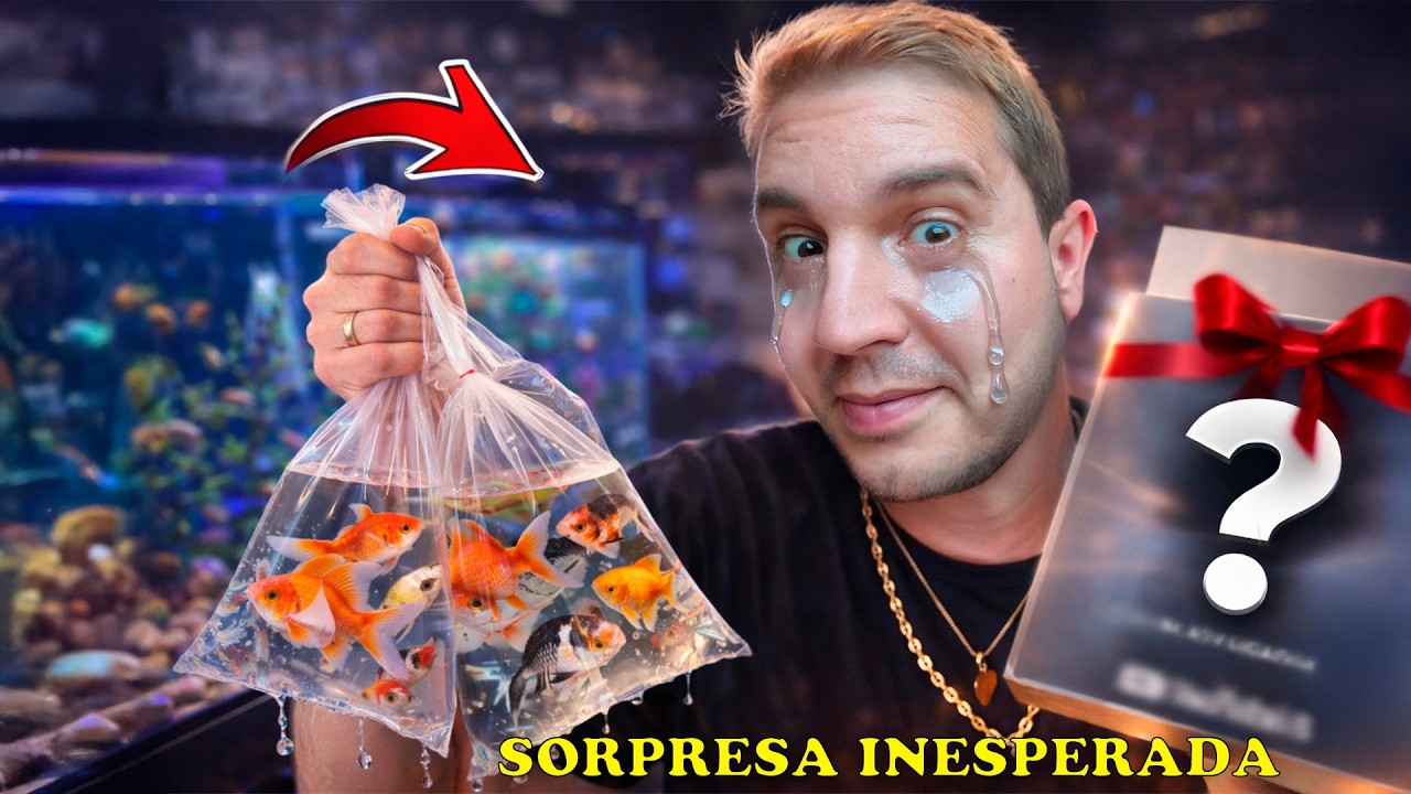 Esto hicimos con mi pez Flopi. Kiko hizo esto y me Emocione Mucho. El Zaceta