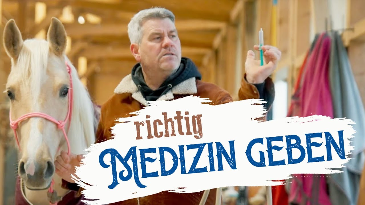 Medizin geben | HORSEMAN HACK 🐎