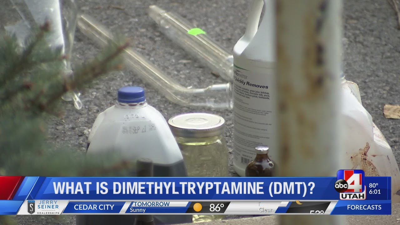 What is dimethyltryptamine (DMT)? (6 p.m.)