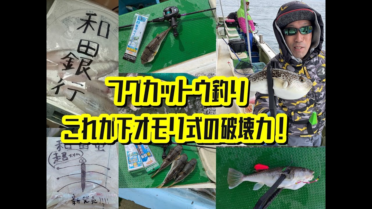 アタリ明確！フグカットウ下オモリ仕掛け！