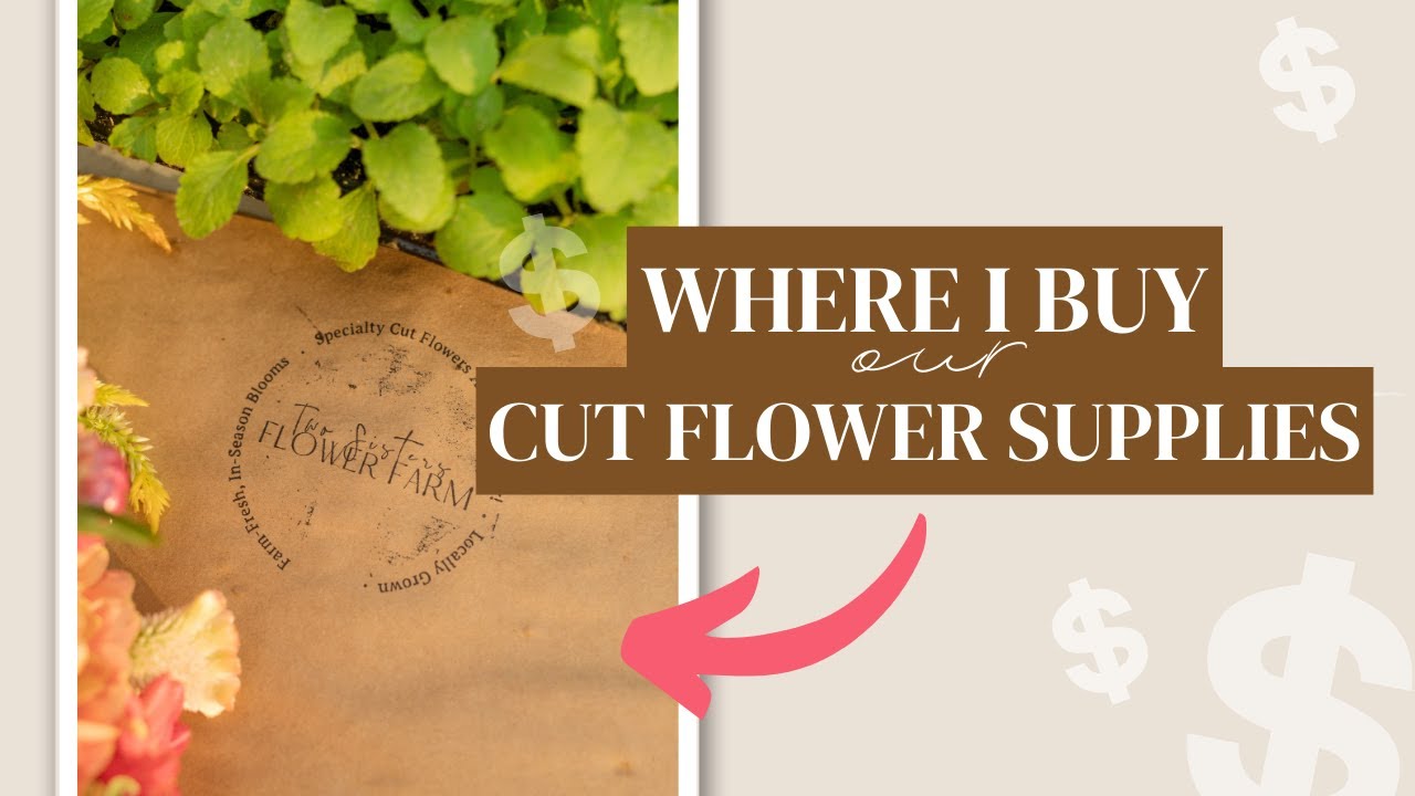 Where I Buy My Cut Flower Garden Supplies | Favorite Sources for Seeds, Dahlia Tubers + More!