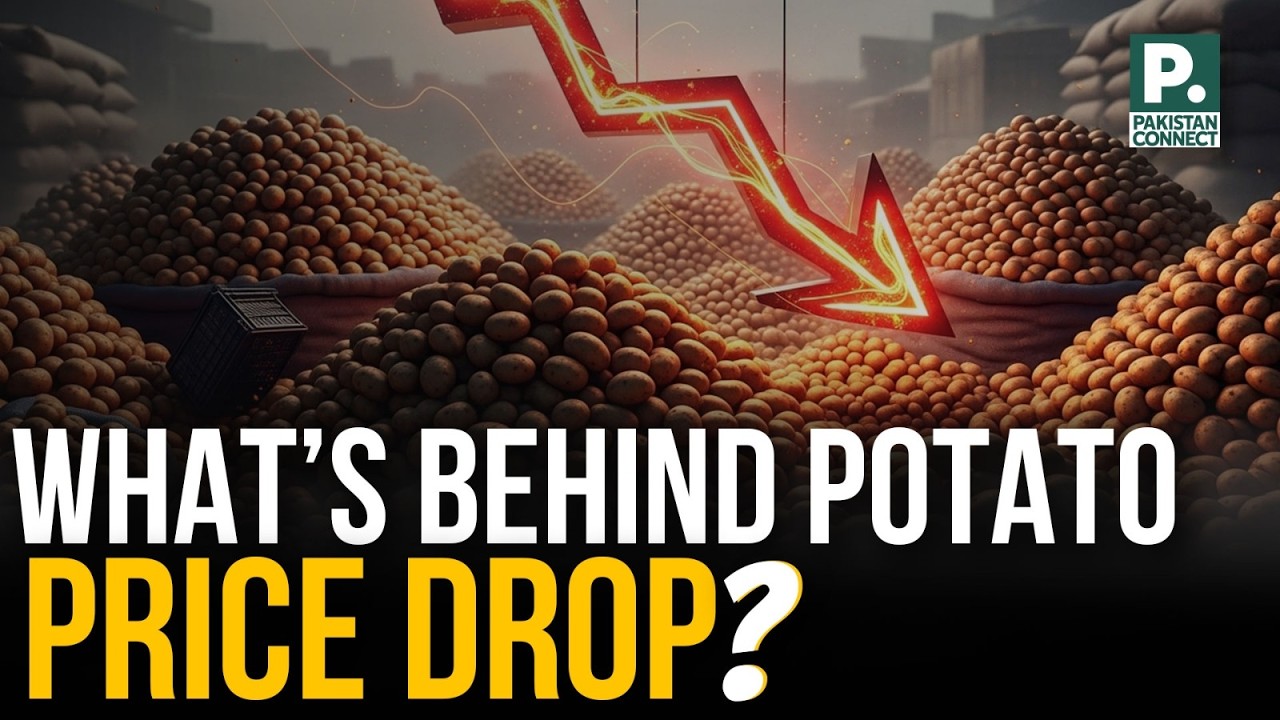 What&rsquo;s Behind Potato Price Drop? | Lahore | Shahid Hanif | Pakistan Connect