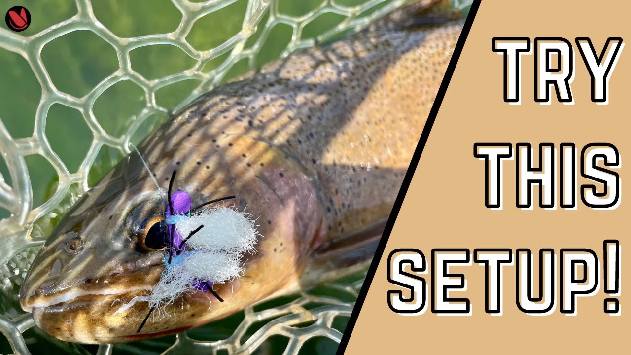 Fly Fishing How To: Killer Hopper Dropper Setup