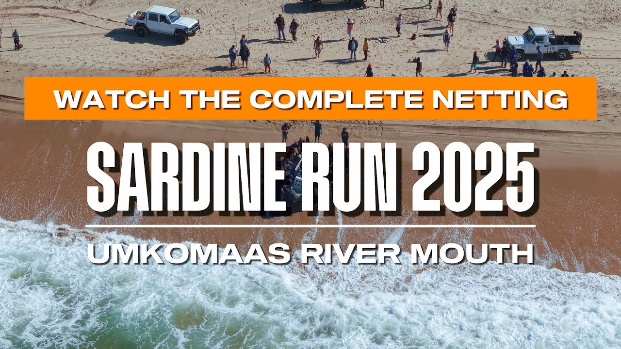 Sardine Run 2025 | Umkomaas River Mouth | Full Sardine Netting Sequence