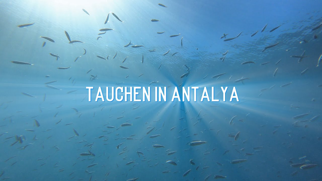Tauchen in Antalya - 4K