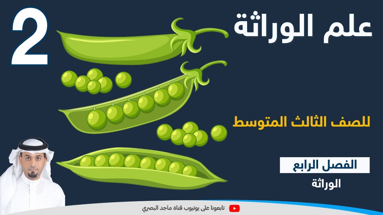 تجارب مندل في علم الوراثة