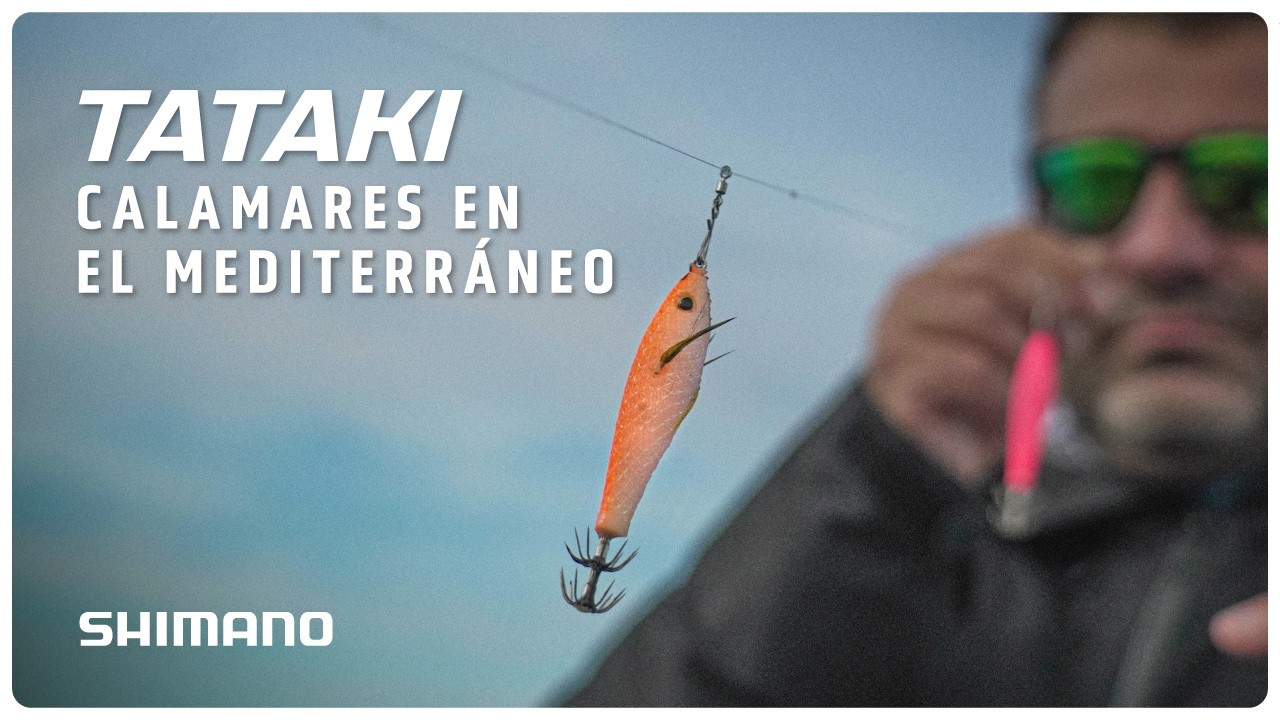 TATAKI CALAMARES EN EL MEDITERRÁNEO