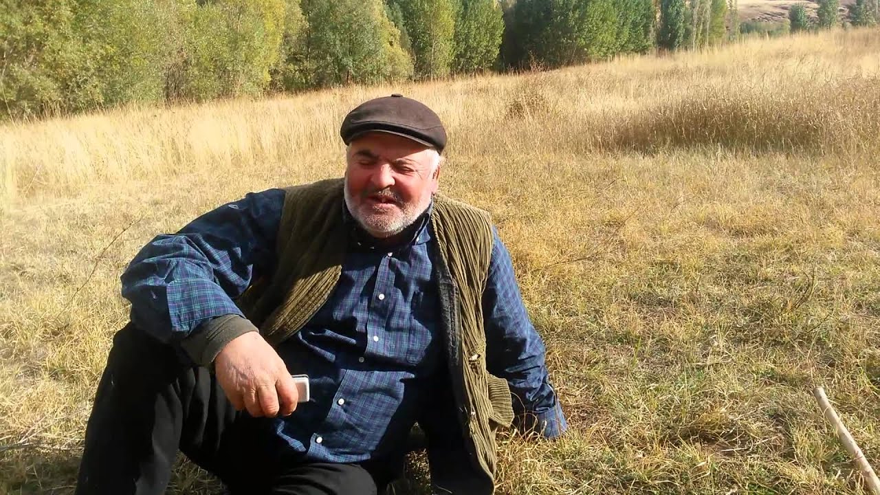 Kangal eymir koyunden aziz doğan