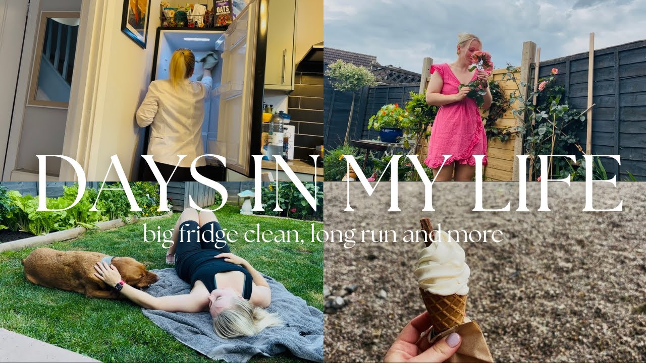 DAYS IN MY LIFE | big fridge clean, long run, hornet's nest chaos & more