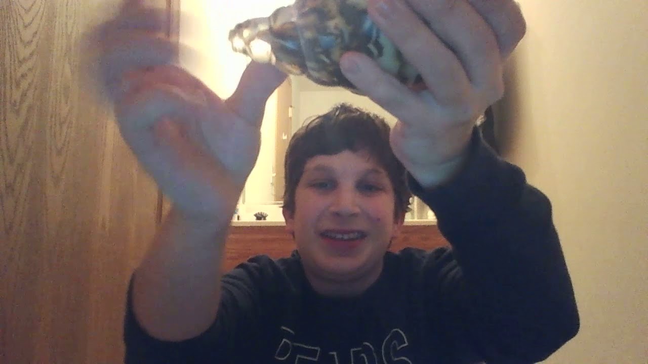 ASMR-Tapping on Decorative Shells and Painting