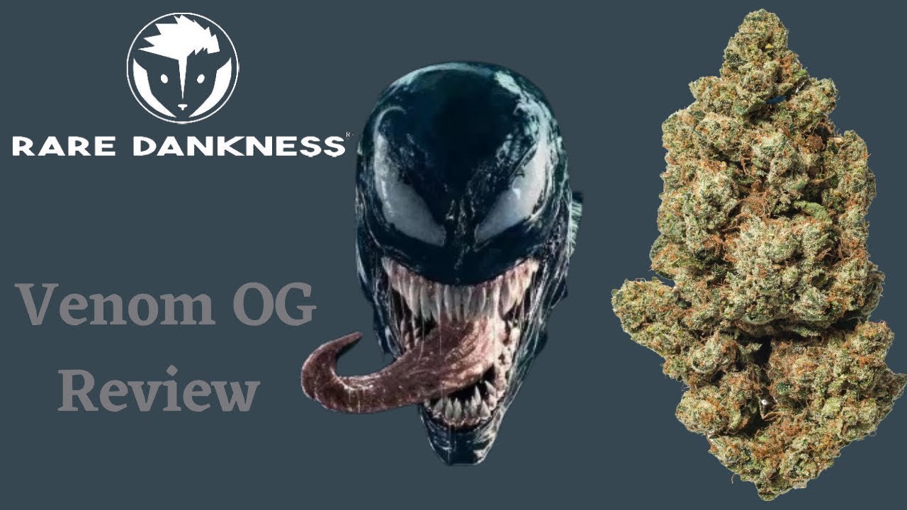 Exotic Weed Review &ldquo;Venom OG&rdquo;|Strain Reviews| EP.6(2 Gram Doink)