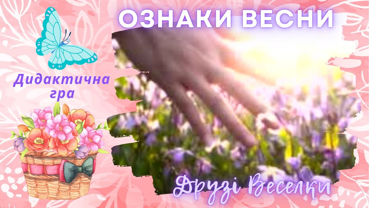 🌸 