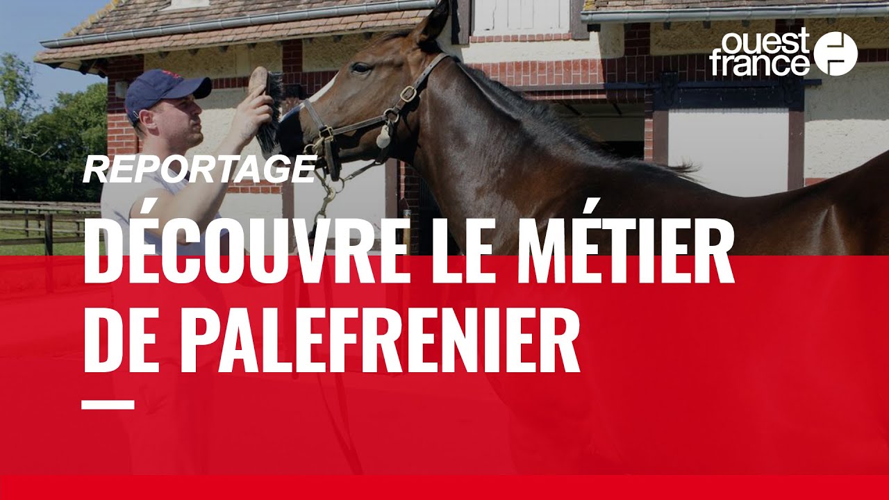 PALEFRENIER, DÉCOUVRE UN MÉTIER