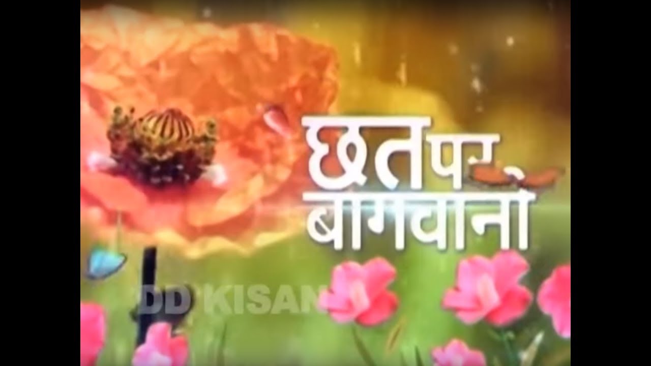 Chatt Par Baghwani - Make your own Planters by Reena Suri