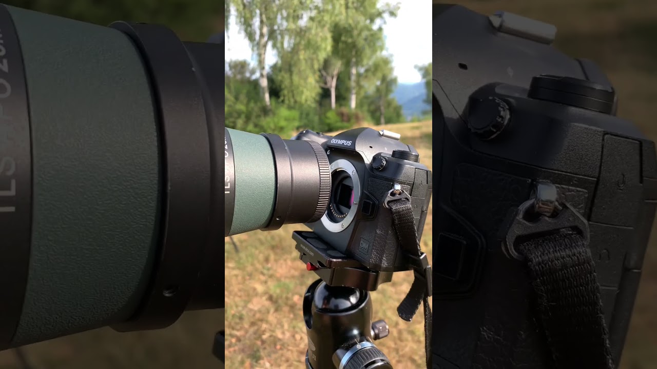 Swarovski ATX 115 + OM-1 Digiscoping Setup | TLS APO Adapter Preview #shorts