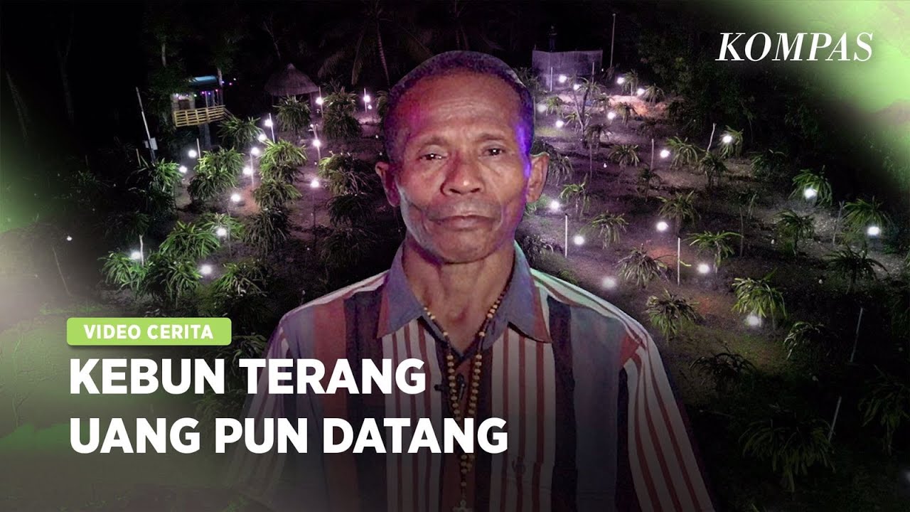 Petani NTT Sukses Mengubah Tanah Berkarang Menjadi Ladang Uang
