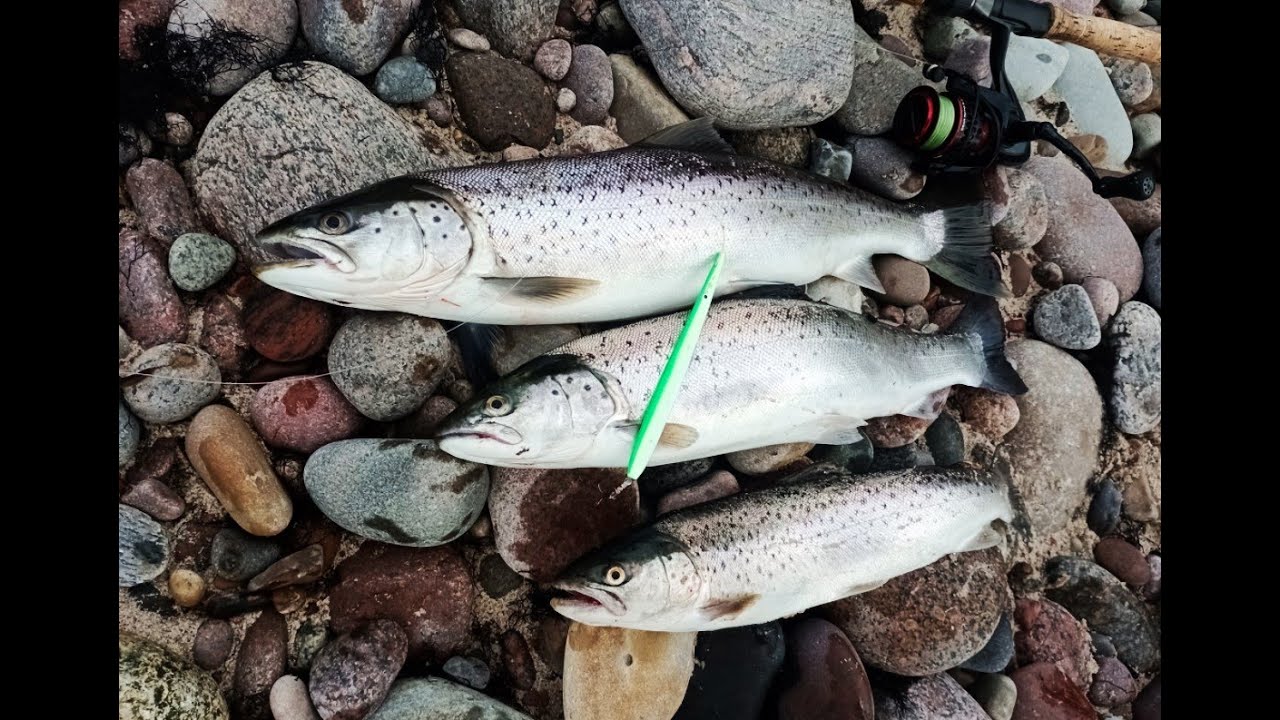 Fiskeplads på Bornholm: Stenbideren d. 10 december 2024