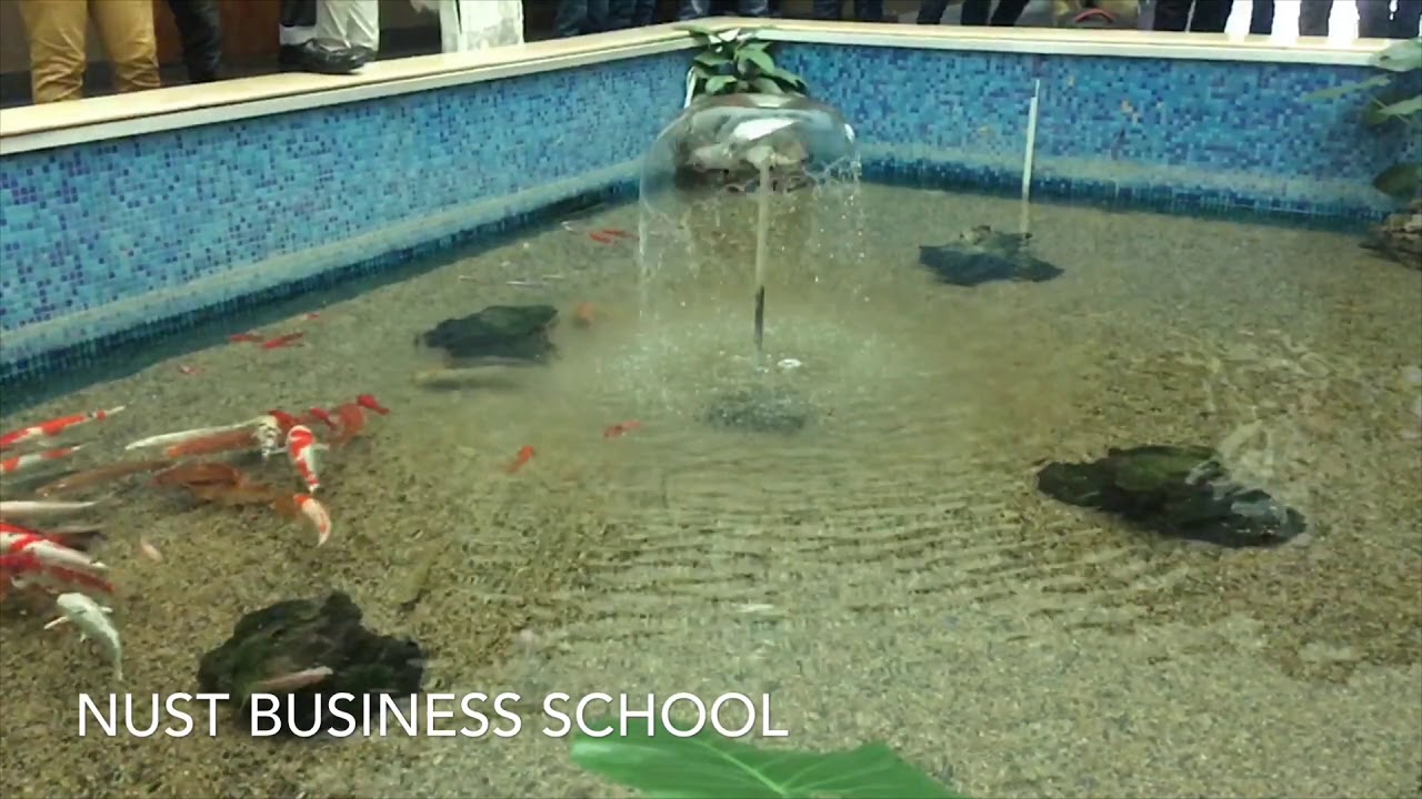 NUST BUSINESS SCHOOL